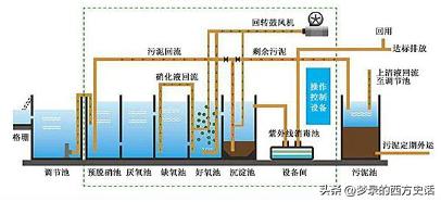 改性壳聚糖吸附重金属离子,改性活性炭吸附实验报告