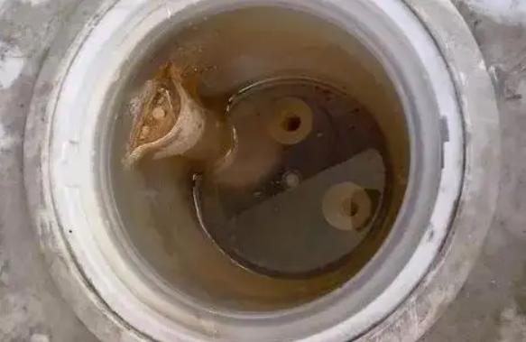 饮水机的水比马桶水还脏,饮料和饮水机里的水哪个脏