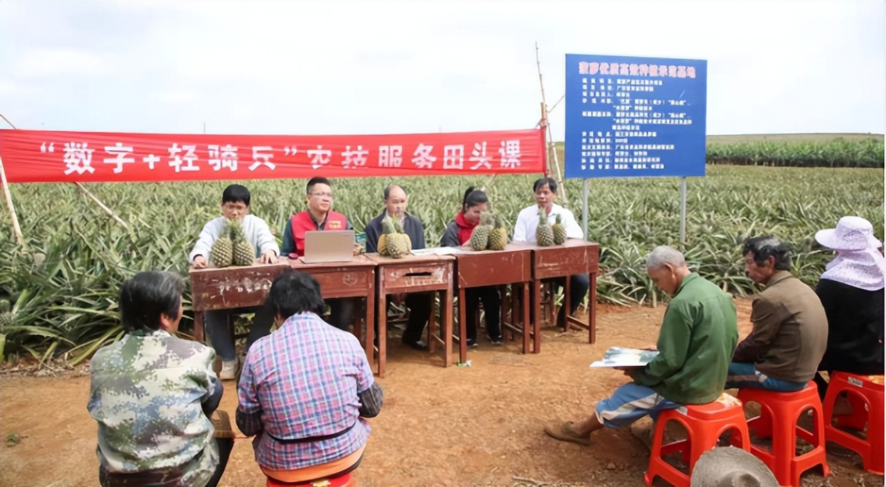 专家化身数字“轻骑兵”，线上问诊手把手教农业技术|数字强农“七个一百”标杆案例⑥