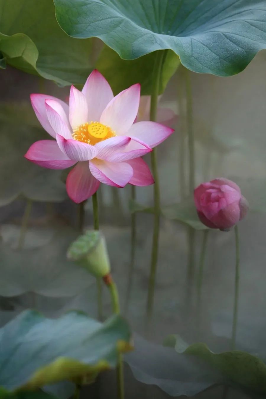 中国人对时间的雅称,中国人对时间的解读