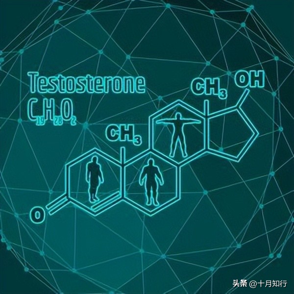 如何健康有效提高睾酮水平,年轻女性睾酮高吃什么好