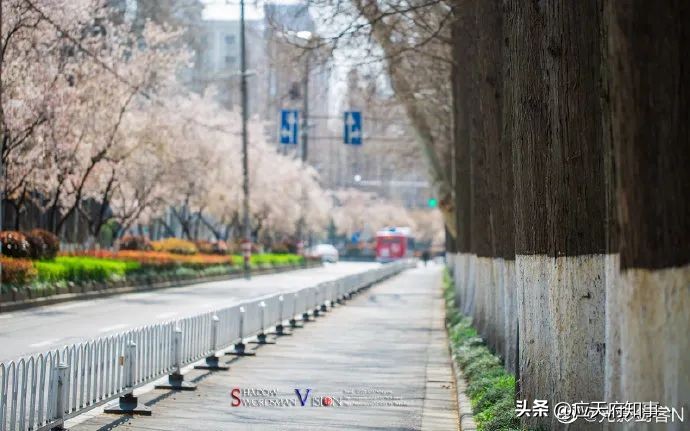 寻找南京最美的地名,南京秦淮河边有一个桃叶渡