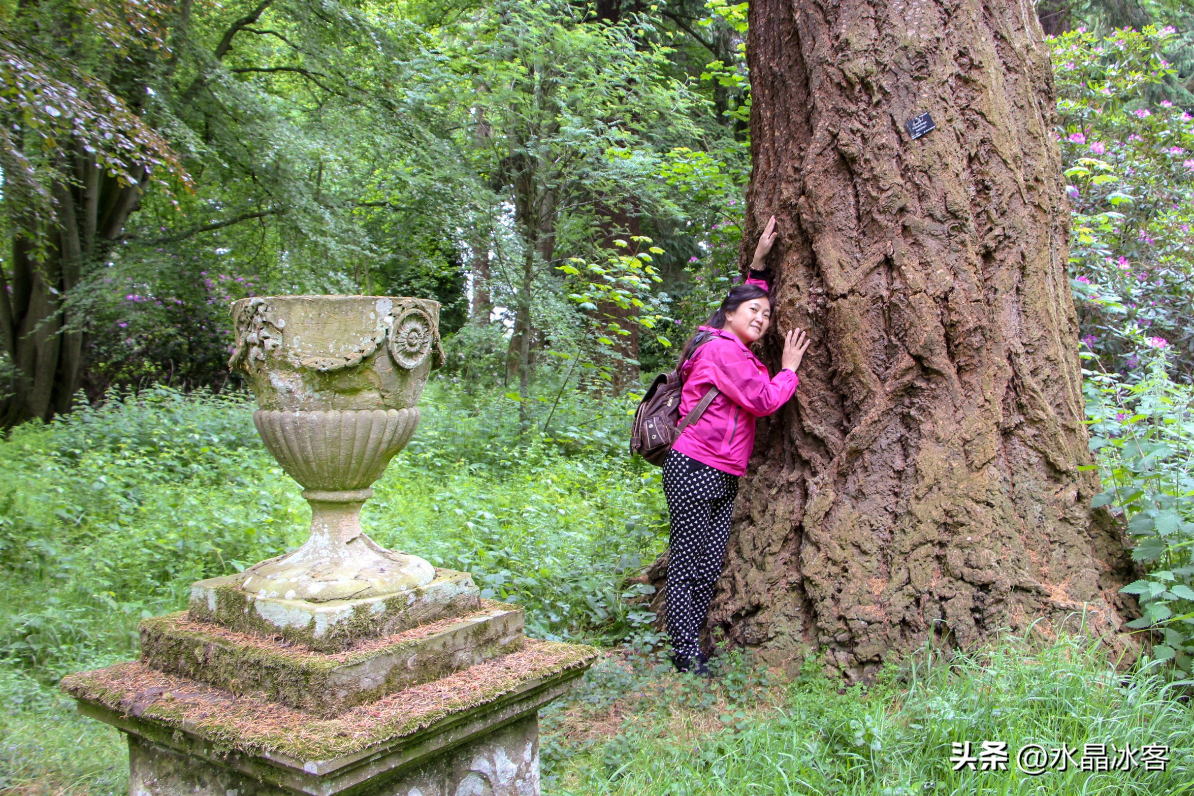 英国爱尔兰苏格兰旅游攻略,苏格兰爱尔兰北爱尔兰