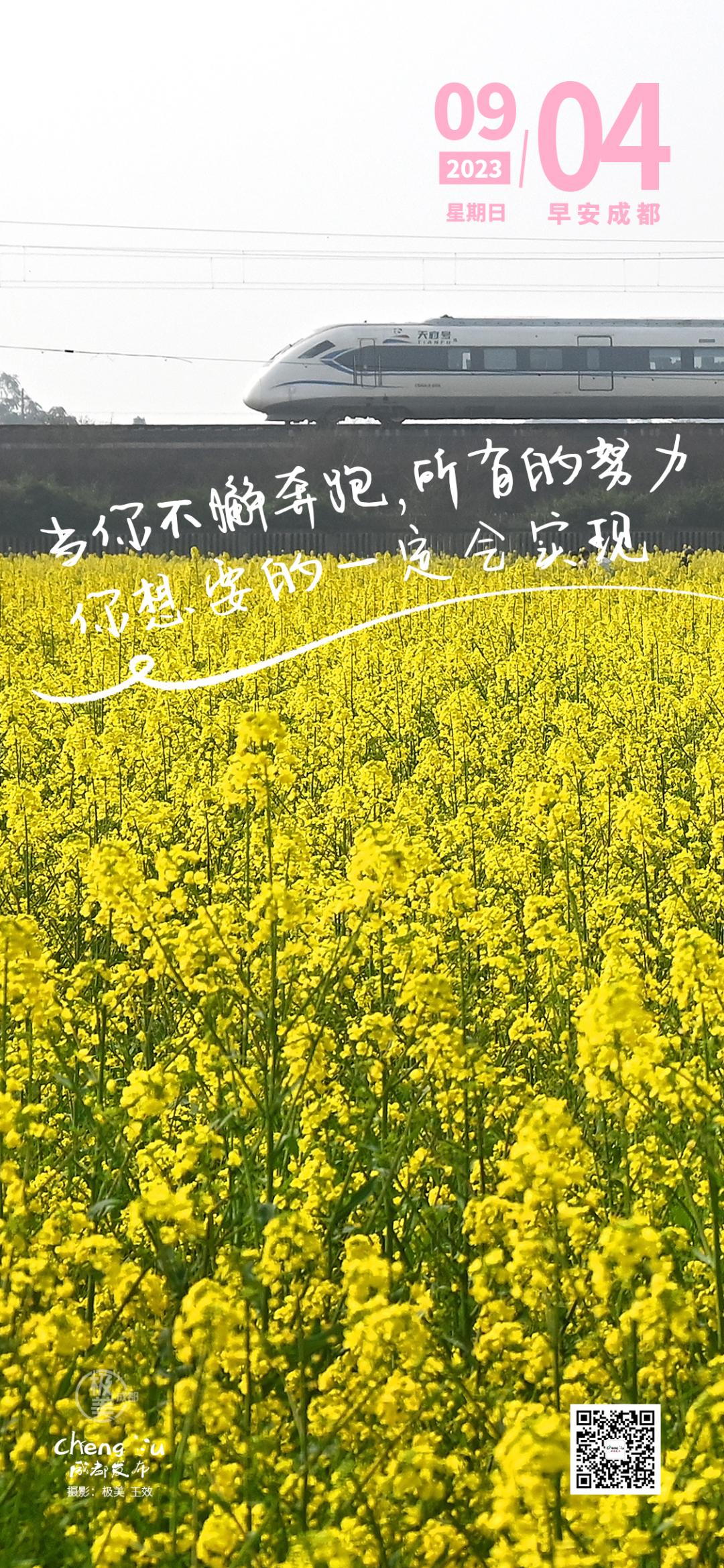 成都将再添一座三甲综合医院,成都将再添一座三甲医院