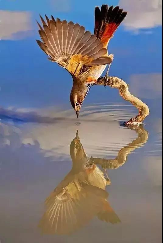 韵味人生（45）杨学拉：生命之笔