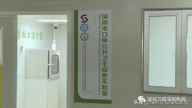 深圳口岸跨境司机接驳,香港跨境货车内地接驳司机流程