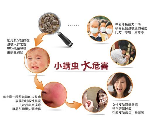 最权威床上螨虫最好的消除方法,怎么判断床上有螨虫教你正确方法