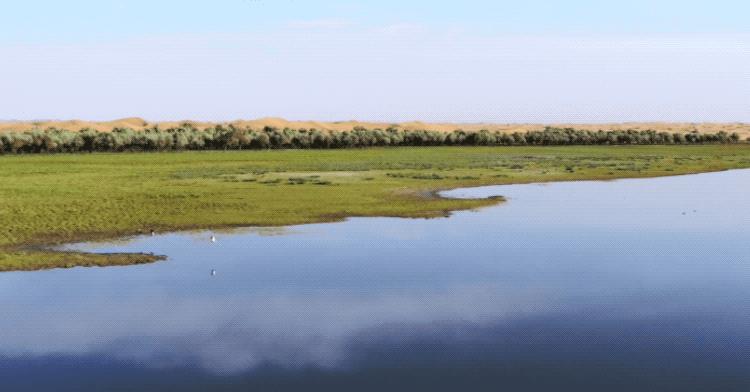 令人难忘的老师800字初中作文,难忘的语文老师