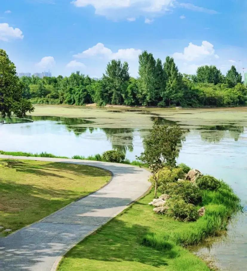 成都成华区熊猫基地在哪儿,成都熊猫基地老城区推荐