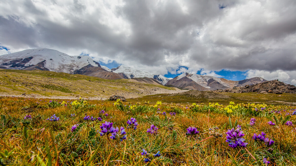 川西和青南,川西青南大环线