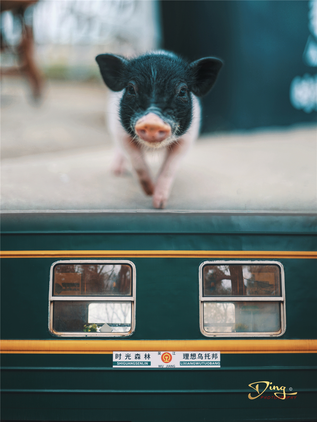 苏州梦里江南二日游攻略,苏州自驾游太湖最佳景点推荐