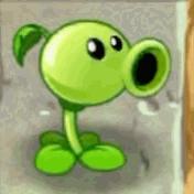 植物基蛋白,植物基蛋白的前景