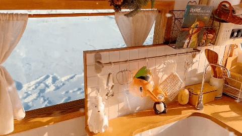 我在房车上隔离21天，拥抱了一小段上海的春天