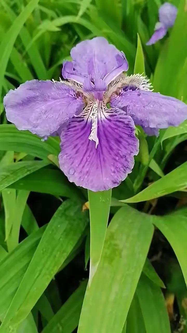生活还要继续调整好情绪文案,生活还要继续吗