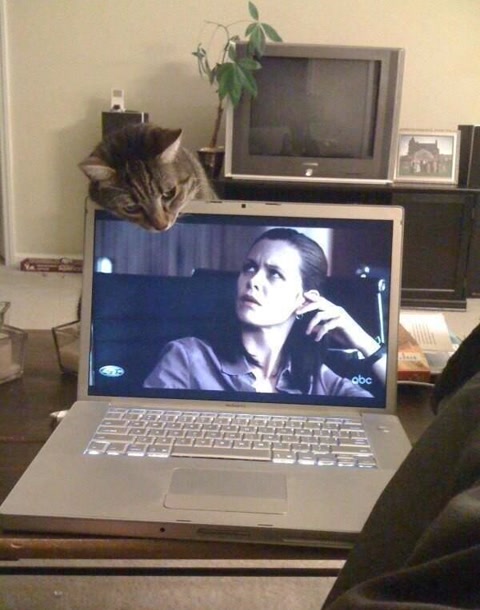 十大经典抓拍照片,100张绝美摄影照片