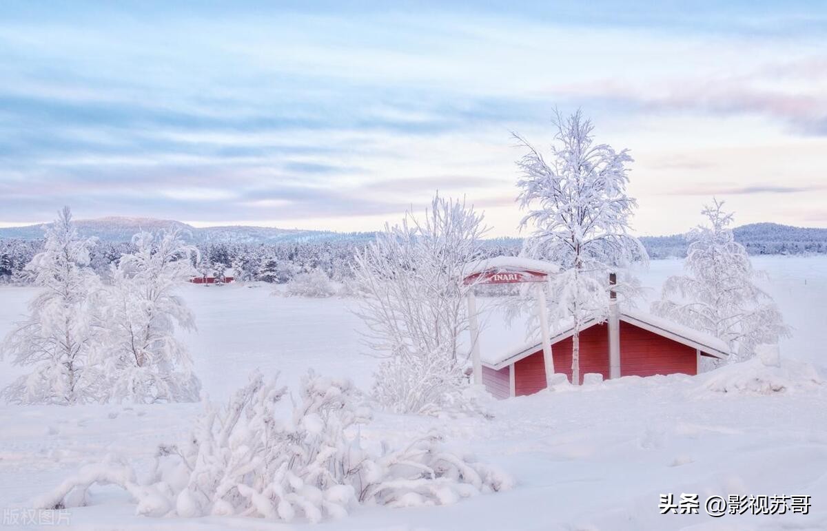 粉雪是日文歌吗,粉雪是英文歌还是日语歌