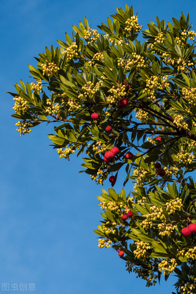 变美的50条习惯,分享40个变美的小细节