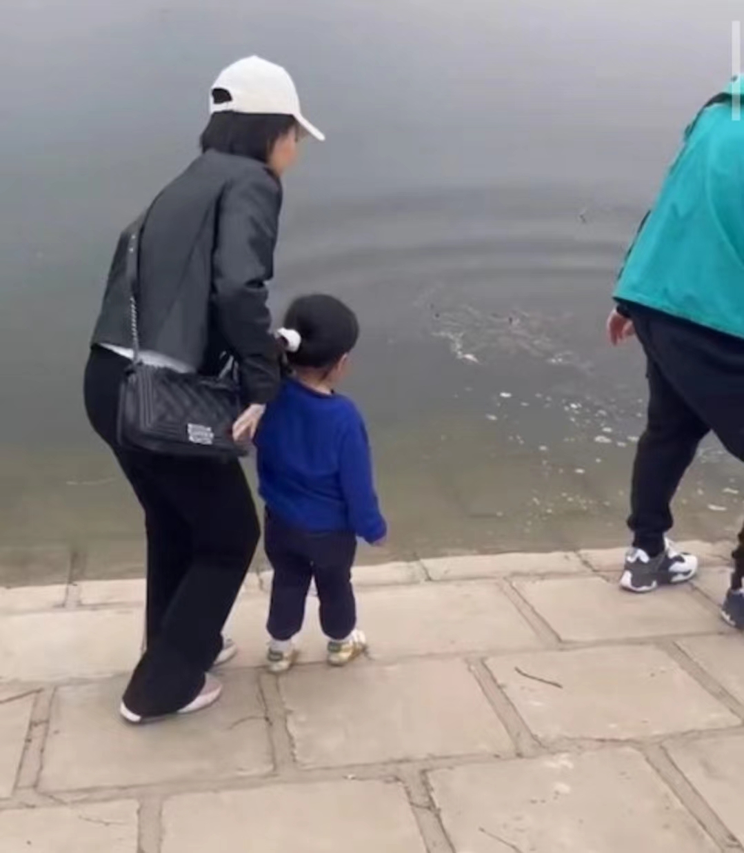 好心做坏事！TVB前女星带女儿郊外大量放生牛蛙，被网友批没常识