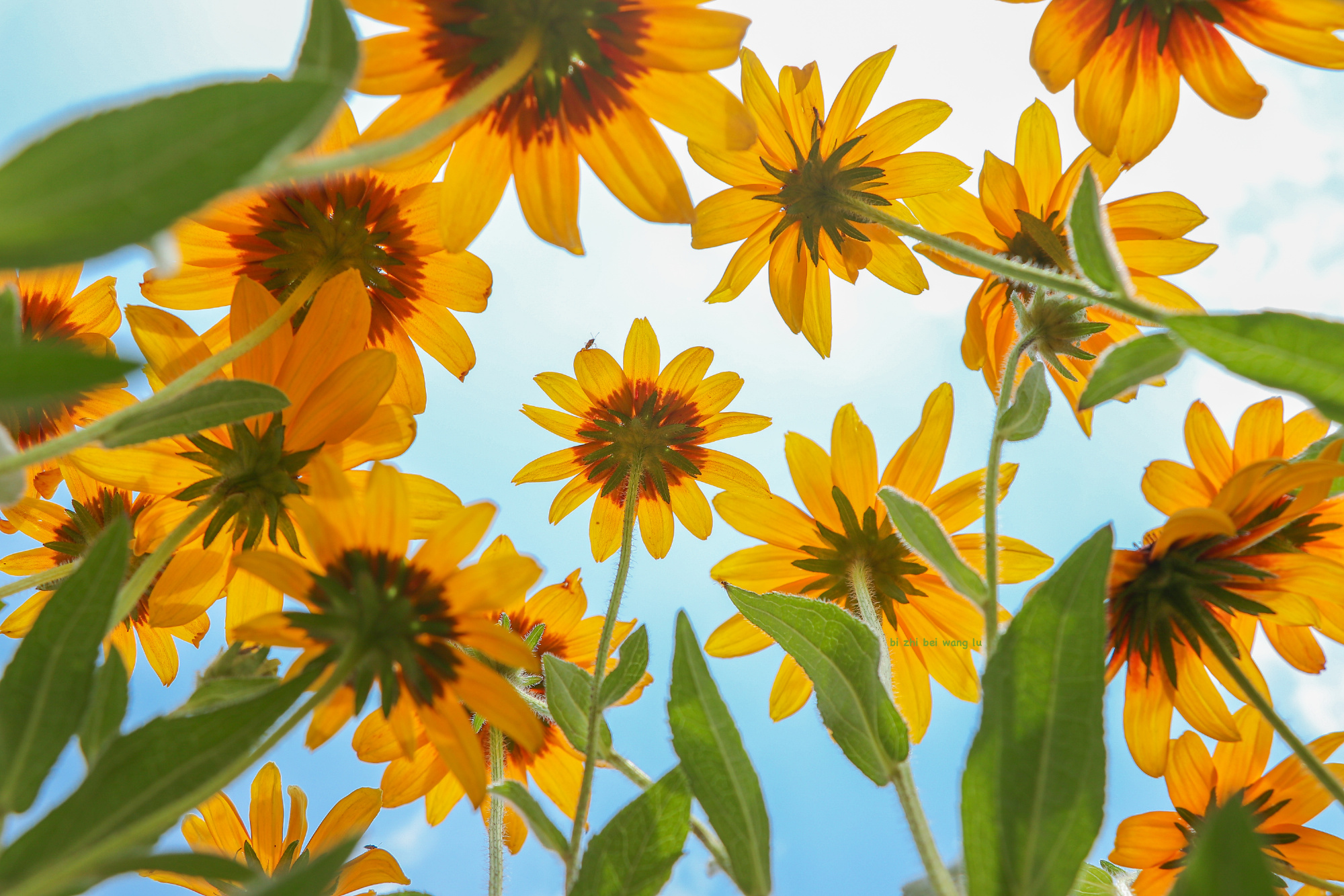 电脑桌面壁纸1920x1080超清,电脑桌面壁纸高清全屏