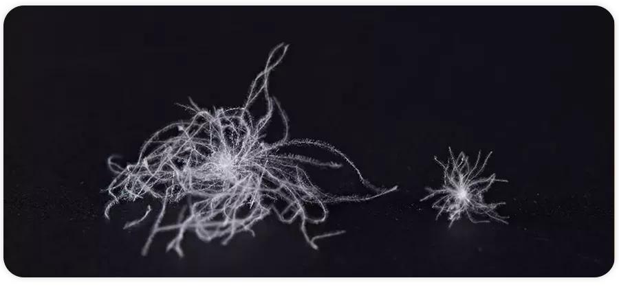 100多元的羽绒服翻车,羽绒服卖上万元被罚