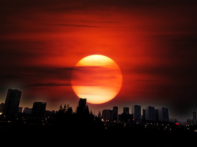 宫崎骏说过选择和谁结婚,无论你选择和谁结婚都会后悔