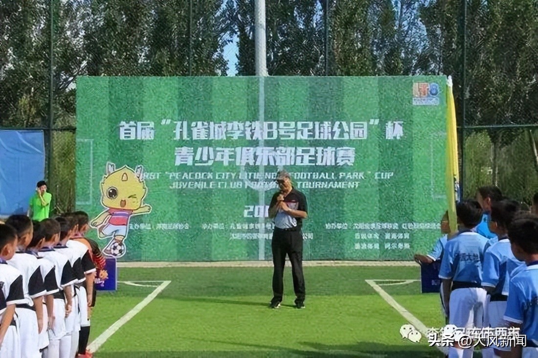 李铁被查原因,李铁商业版图盘点