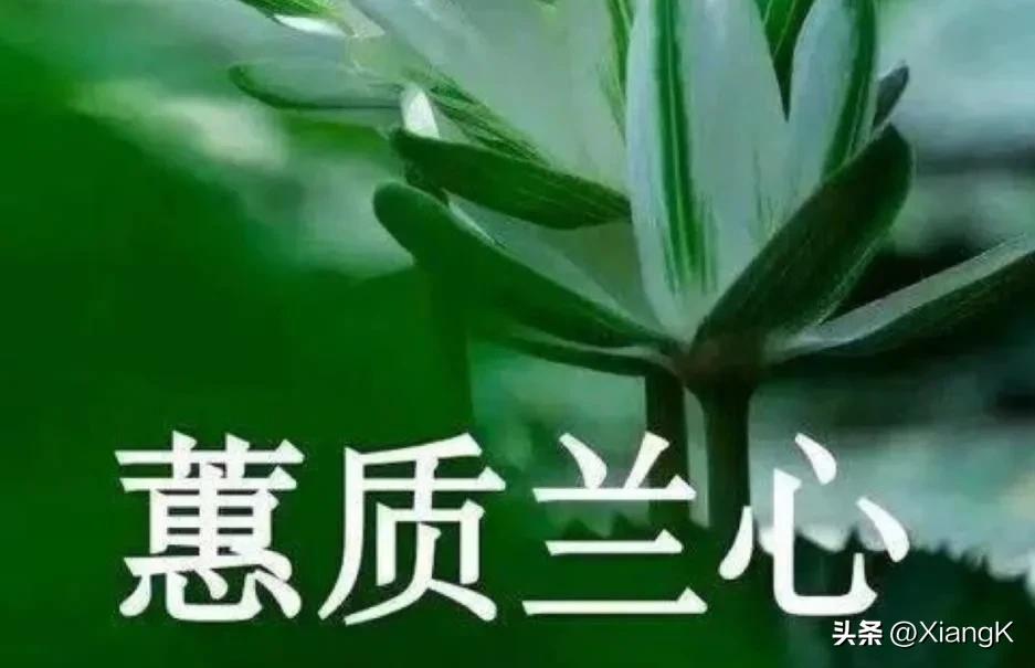 蕙质兰心指的是什么,蕙质兰心对应的成语