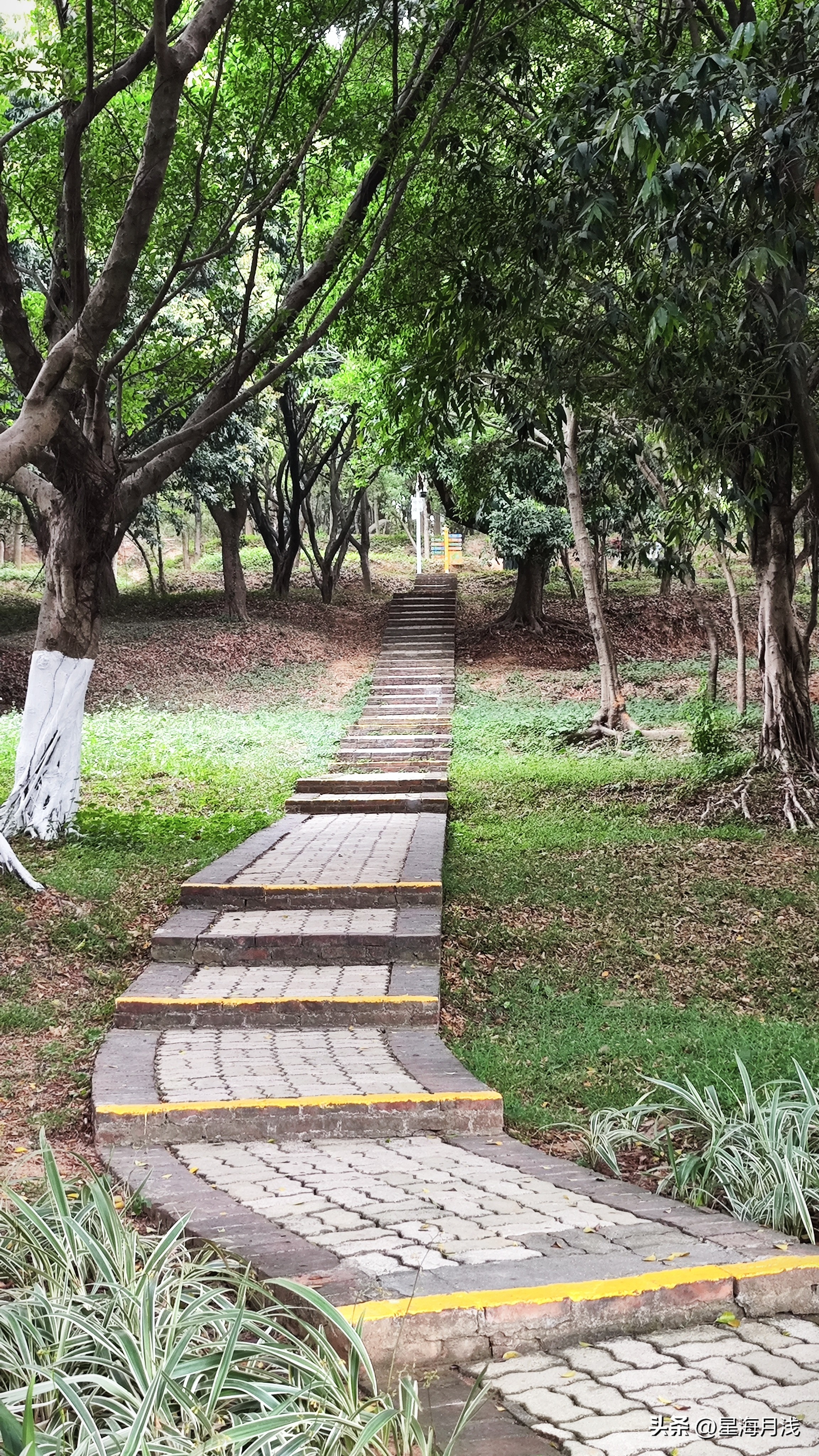 广州天河区周末免费儿童公园,儿童乐园广州半天遛娃好去处