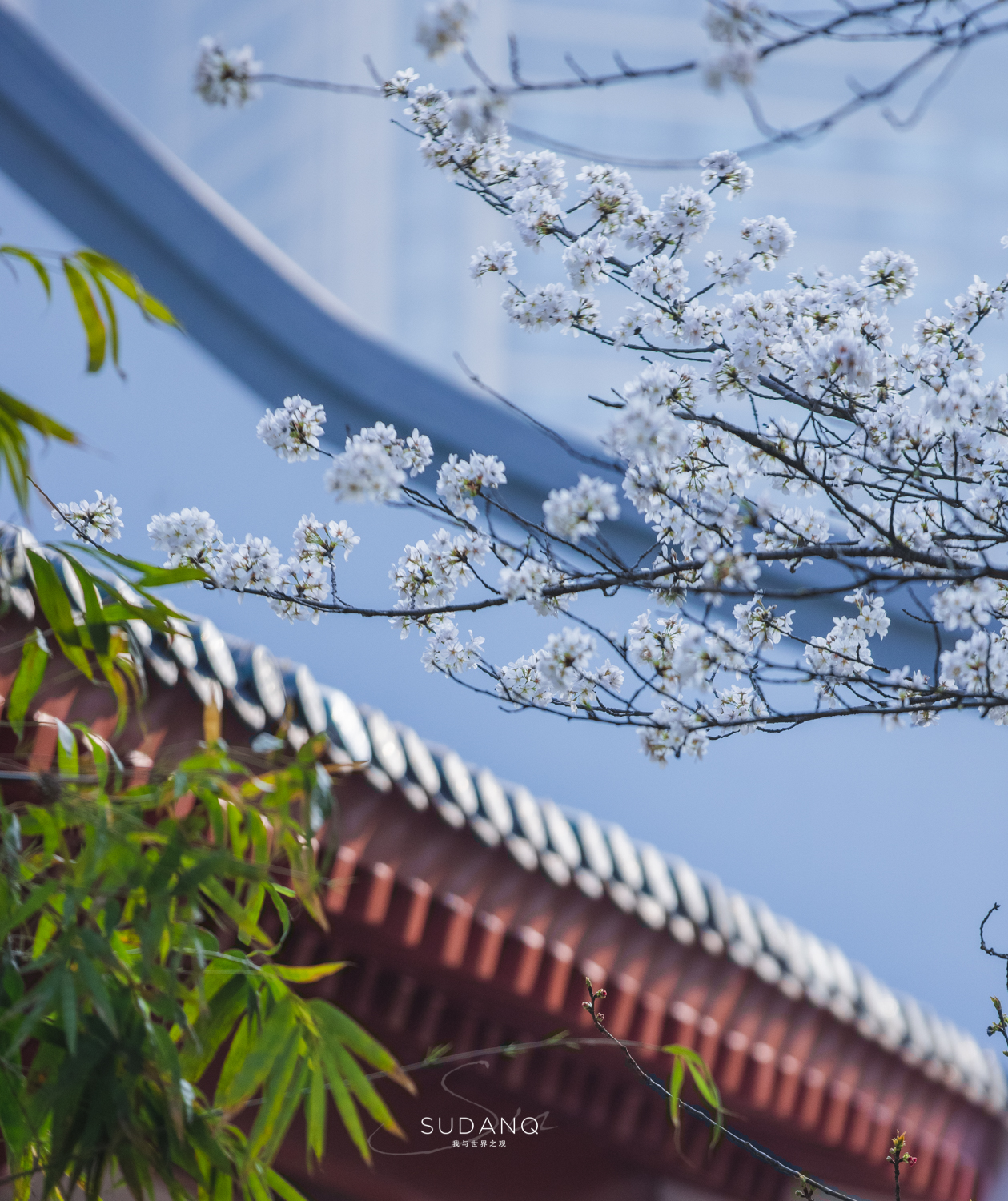 姝︽眽鏈堟箹鍏洯椋庢櫙,姝︽眽鏈堟箹鍏洯缇庢櫙