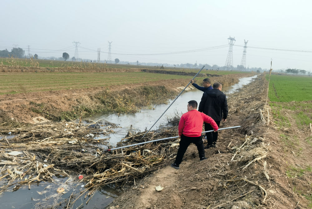优环境促就业忙春耕——河北开局高质量发展一线观察