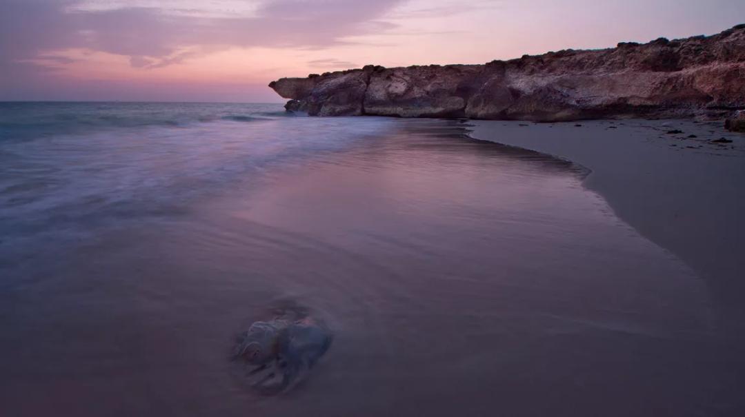 沙特阿拉伯为什么是最神秘的国家,沙特阿拉伯一个神秘的国家