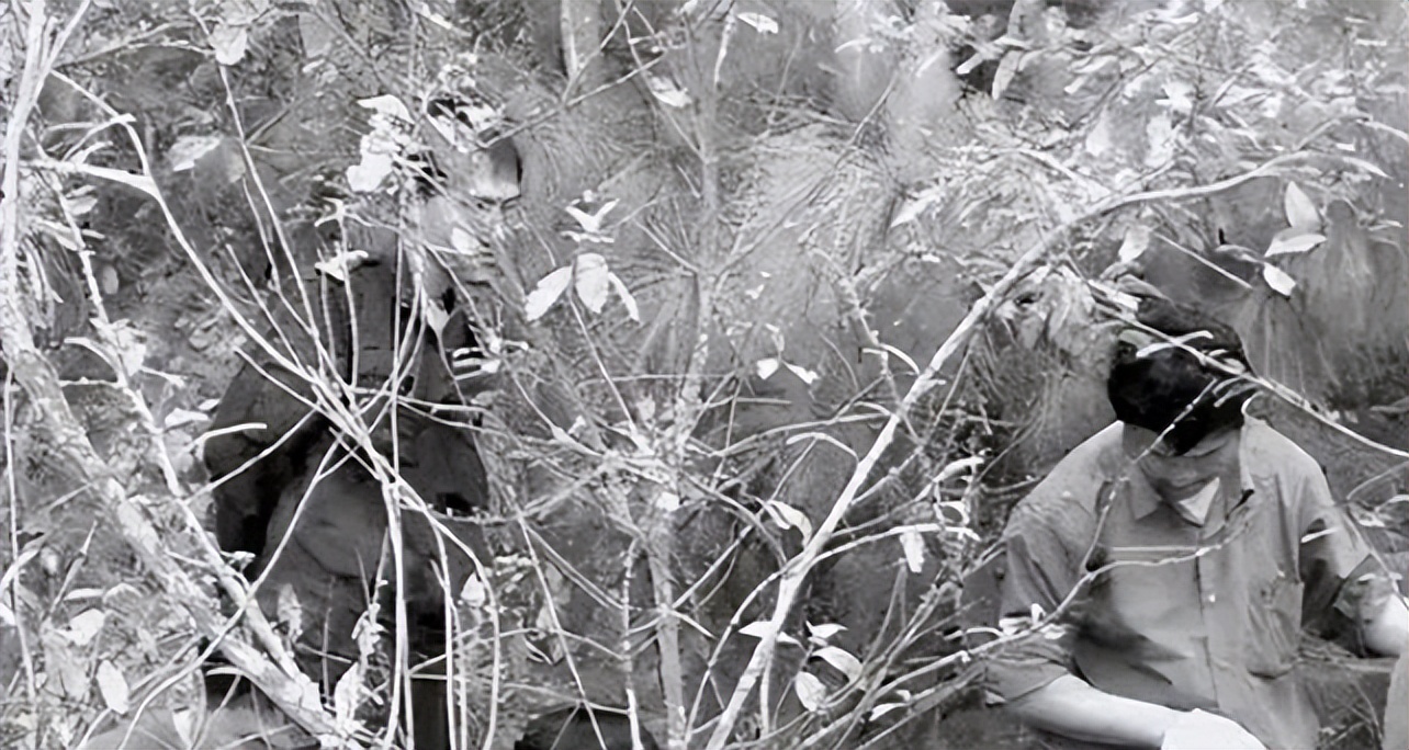 畸形爱恋引发的案件,畸形之恋引发的悲剧