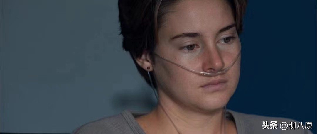 星运里的错美国电影简介,星运里的错电影解析