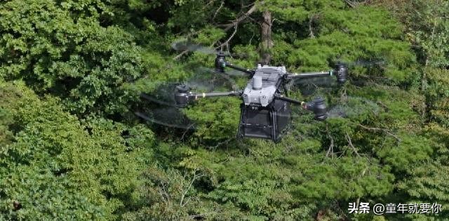 大疆运载无人机黄山,大疆运载黄山