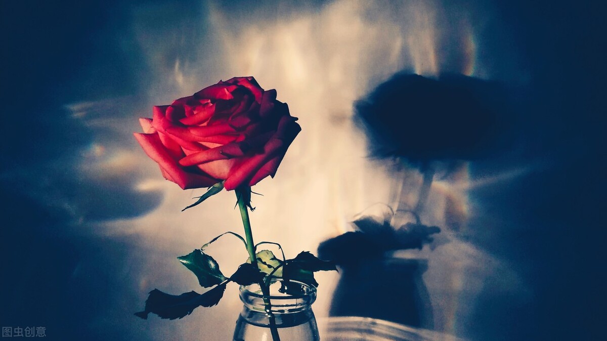 爱情所及，烈焰腾腾，时过境迁，纯纯如水