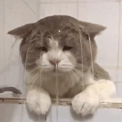 入门级中高端医疗险推荐,线下十大良心百万医疗险排行榜