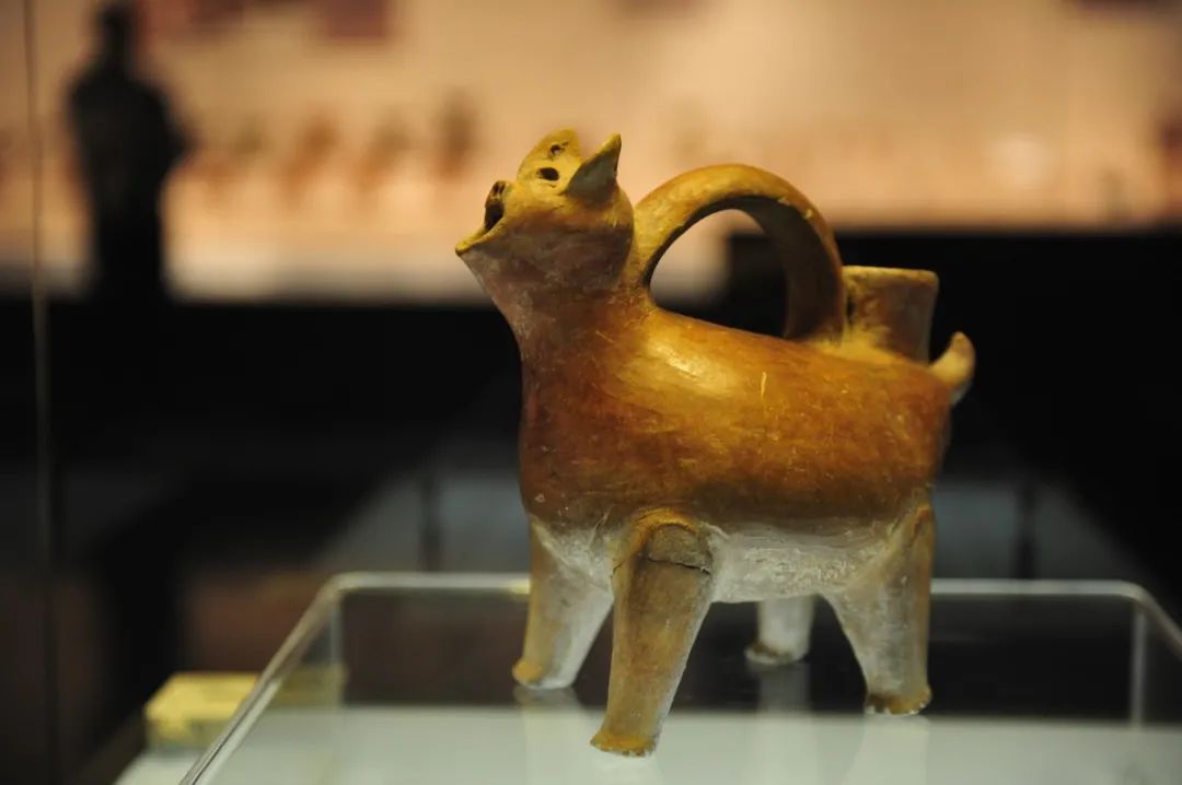 打卡山东博物馆和大明湖,山东博物馆打卡预约