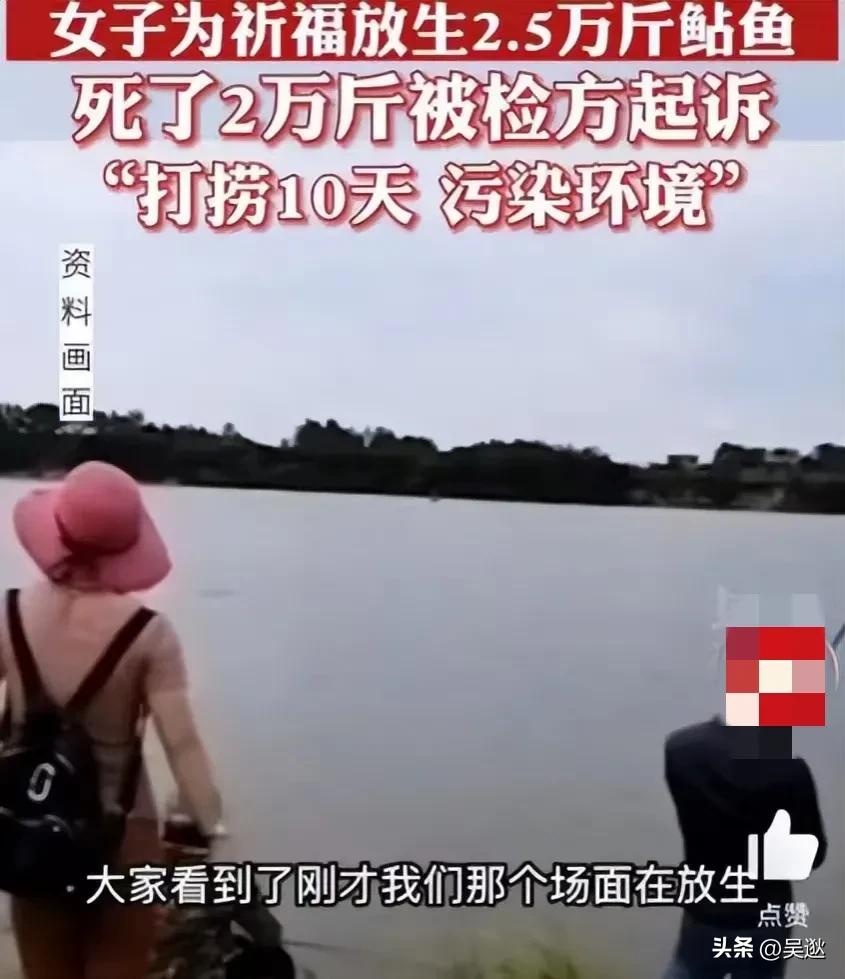 放生是否为了求功德,放生塘鲺的功德