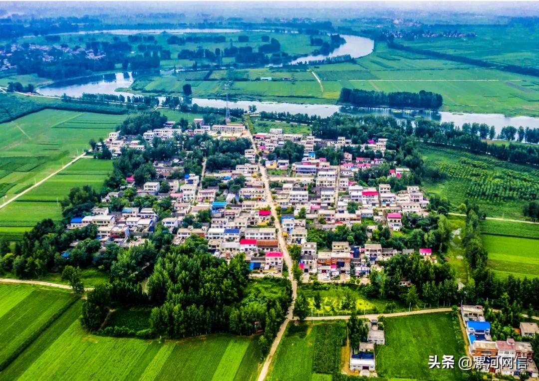 漯河市近几年的书画展,漯河市书画展开幕式