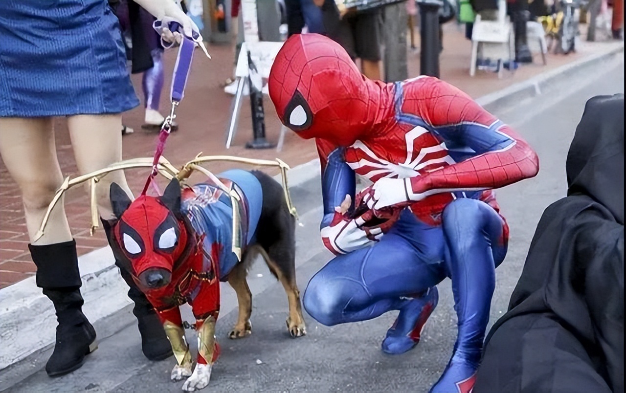 狗狗意外获得超能力从此走向巅峰,狗狗意外获得五环拥有了超能力