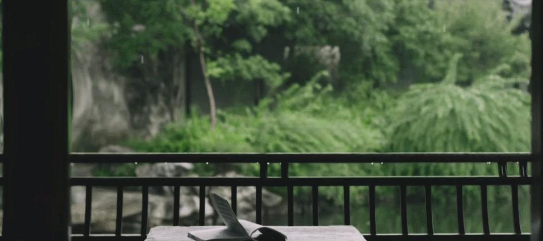 夏至蝉始鸣半夏生全文,夏至蝉始鸣半夏生什么意思