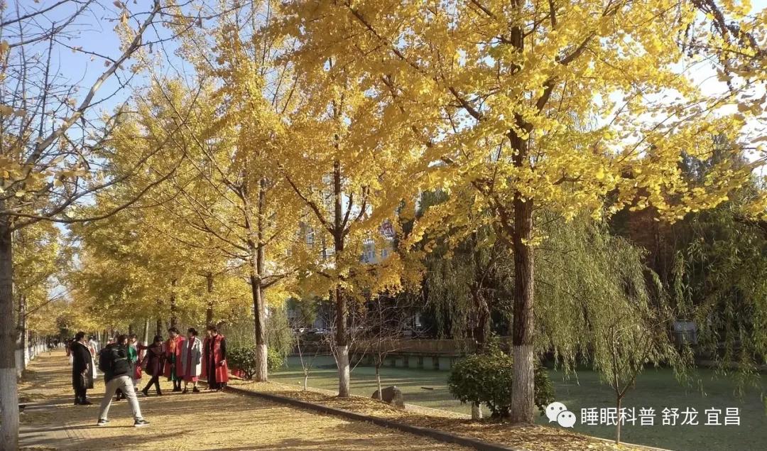 每隔几天就会失眠一整晚,隔几夜就有一夜睡不着是什么原因