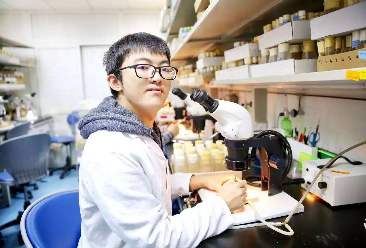 直博与硕博利弊,硕博连读跟直博含金量