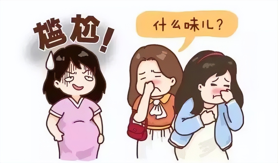 门肌训练,盆底肌医学讲解