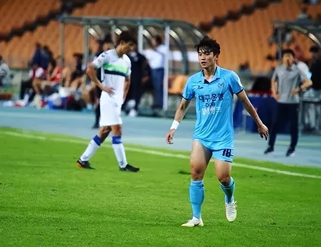 小狼狗10块腹肌,小狼狗的腹肌