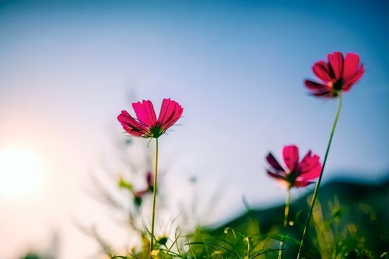 被人算计了，最聪明的做法不是翻脸，而是做好三件事