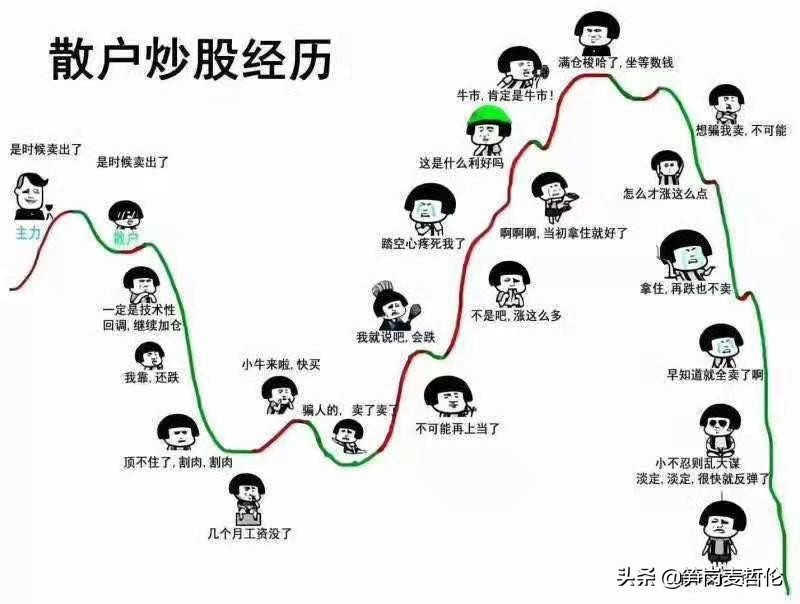 股票20%收益率,股票投资收益率怎么算的