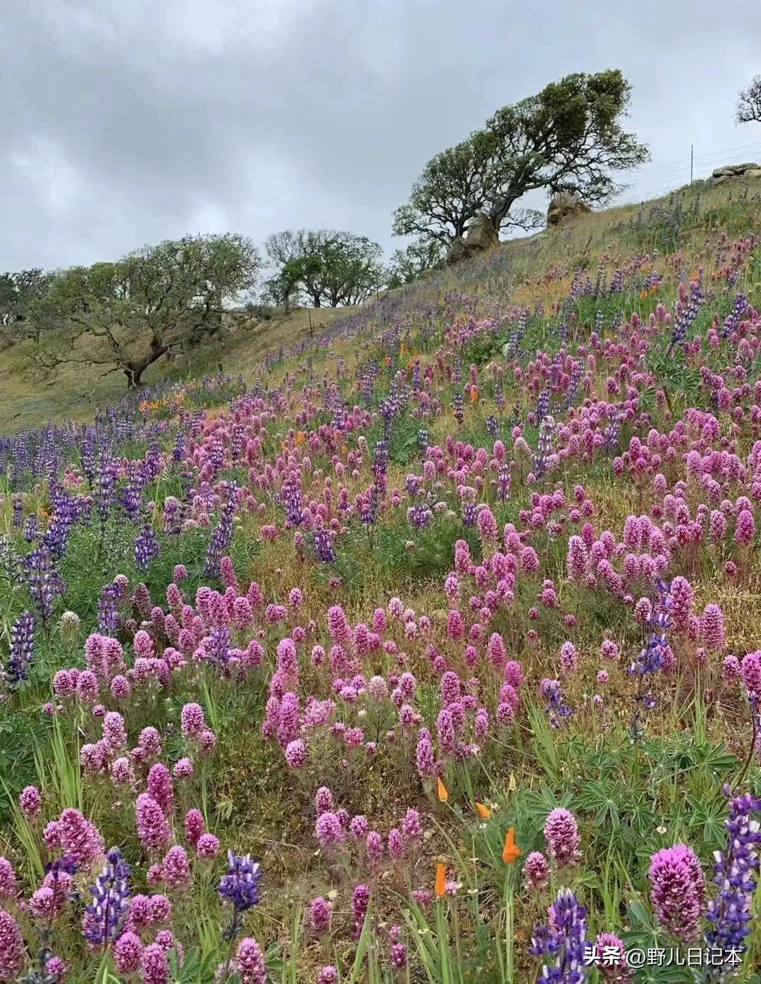 我在银行做保洁最新文章,我在银行做保洁