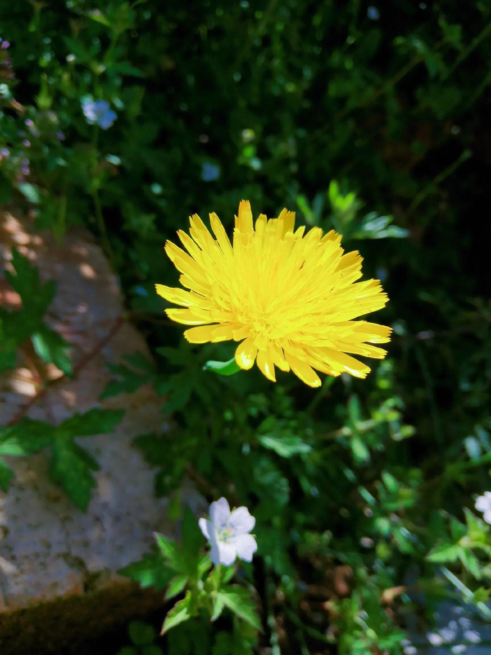 威宁小城市,威宁小城