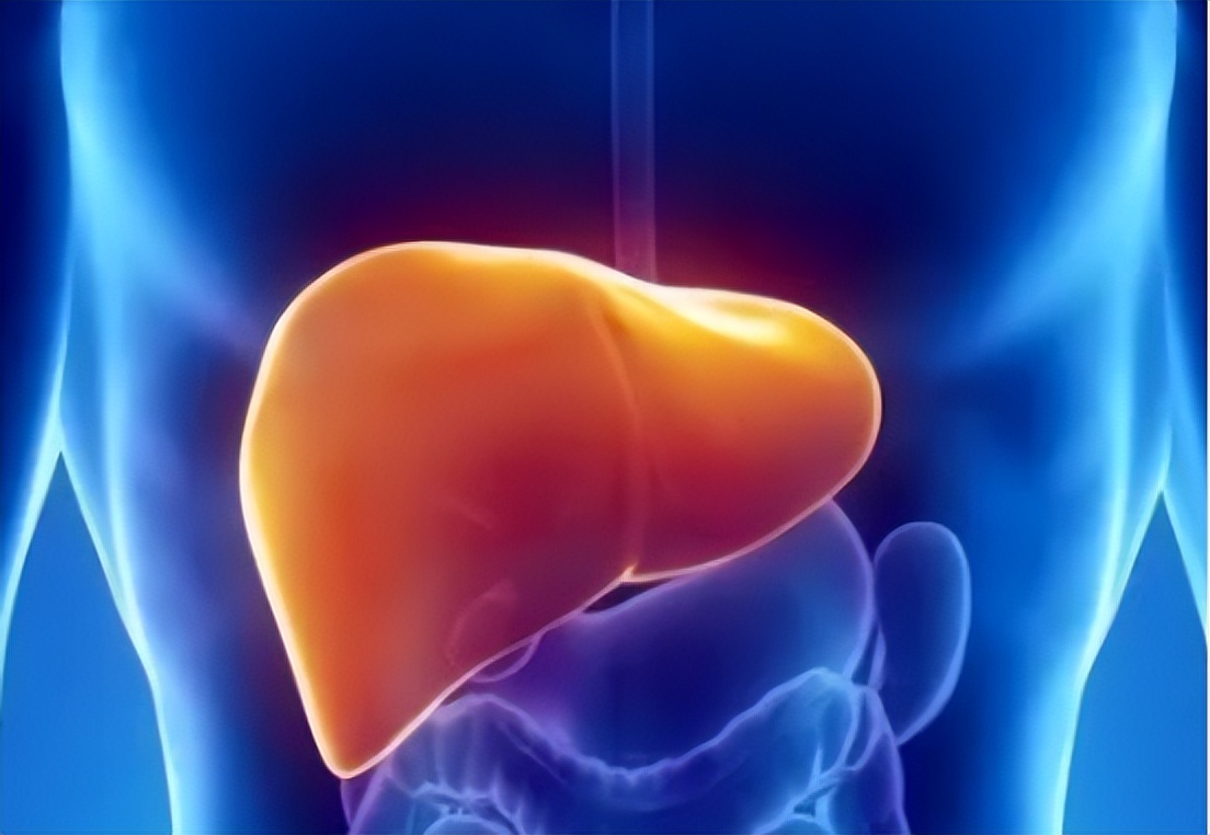 脂肪肝抗氧化药物有哪些,哪种中成药治疗脂肪肝最快最好